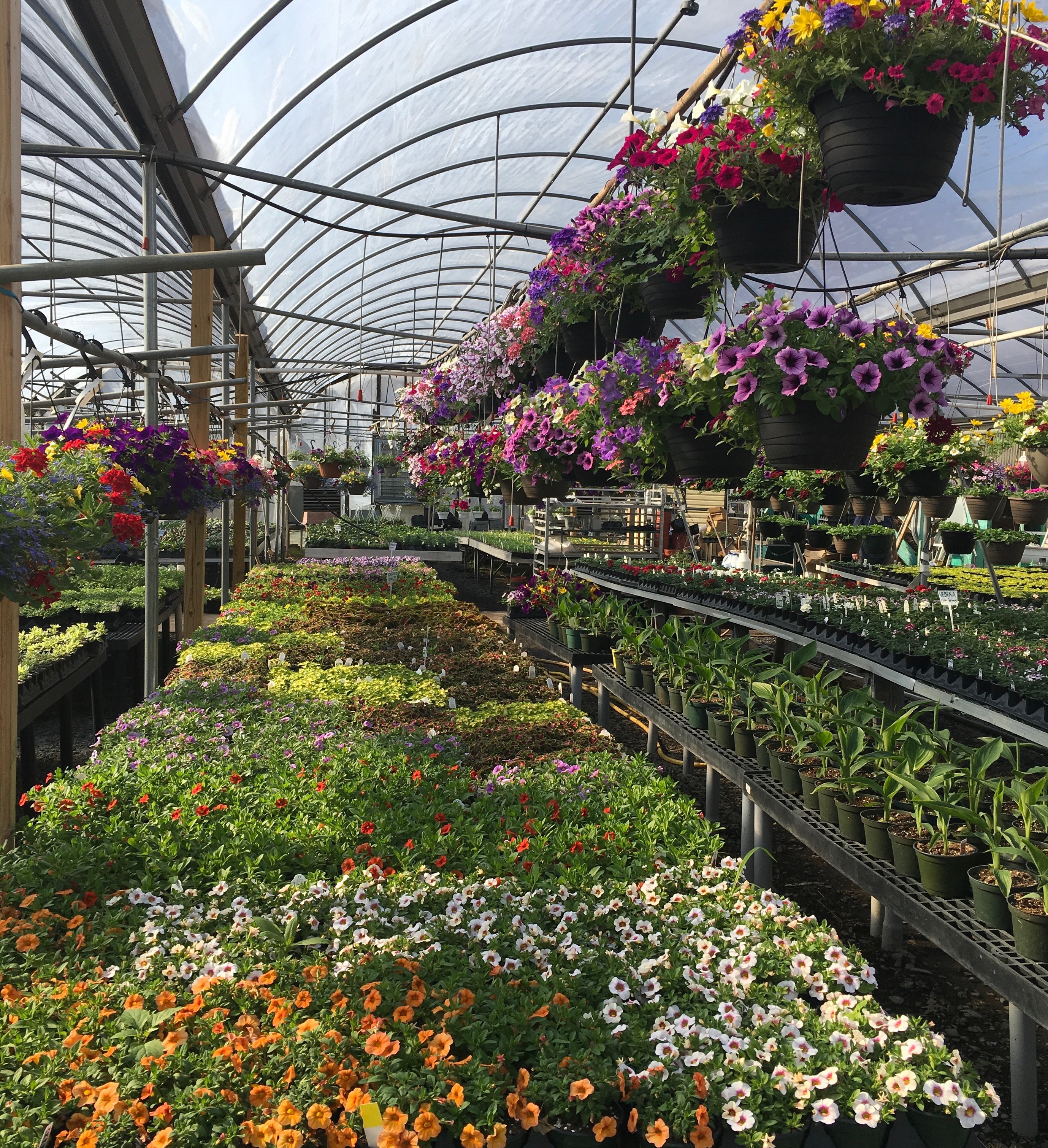 Colorful containers.