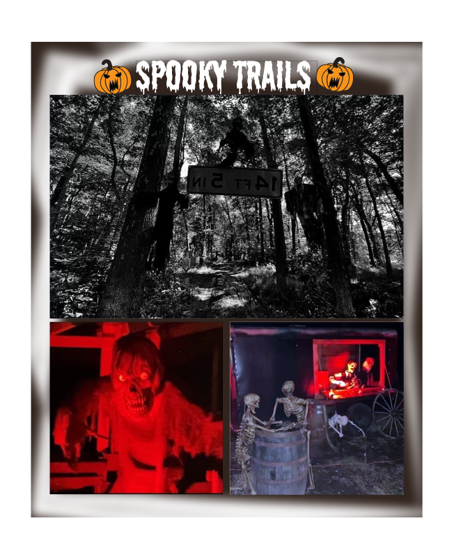 Pumpkins...Pumpkins...Pumpkins