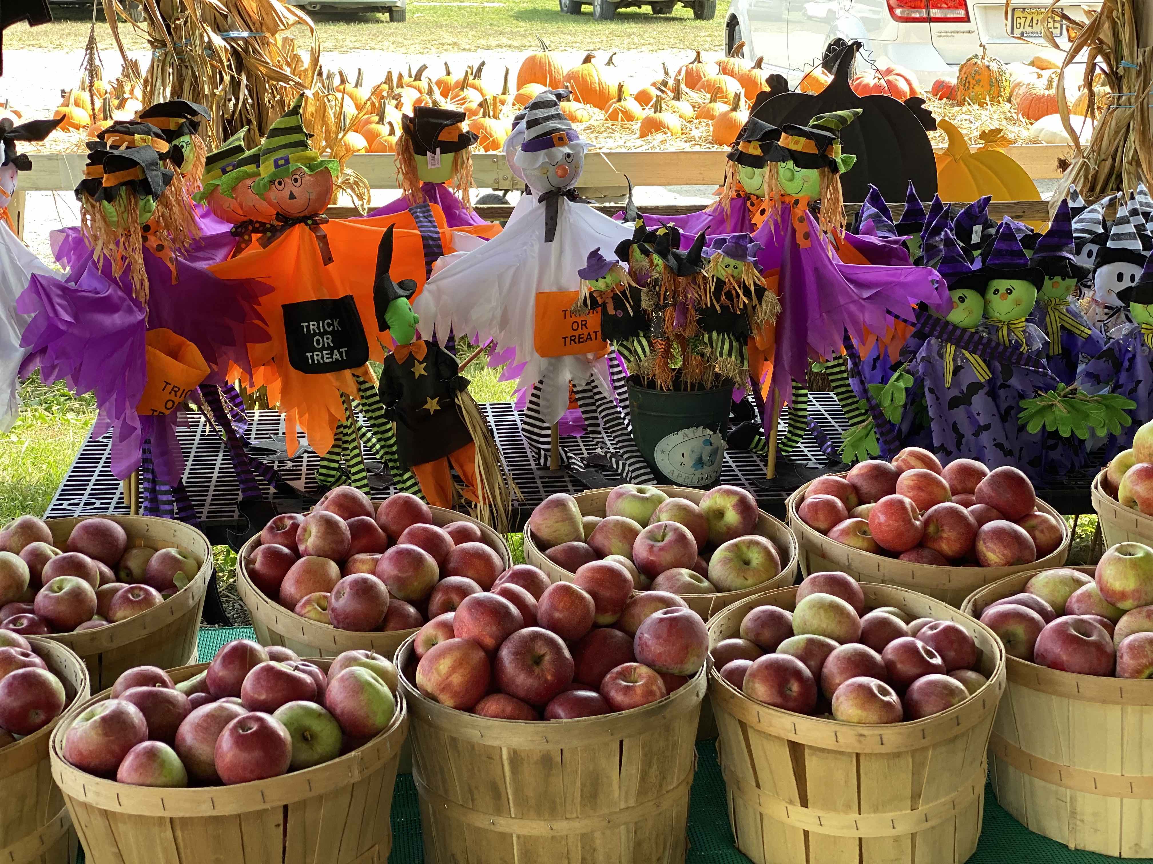 Enjoy some delicious apples!