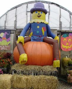 Gerry the Giant Scarecrow...great photo shoot!